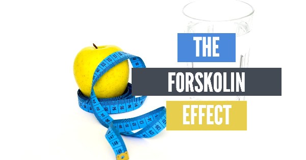 Forskolin Review